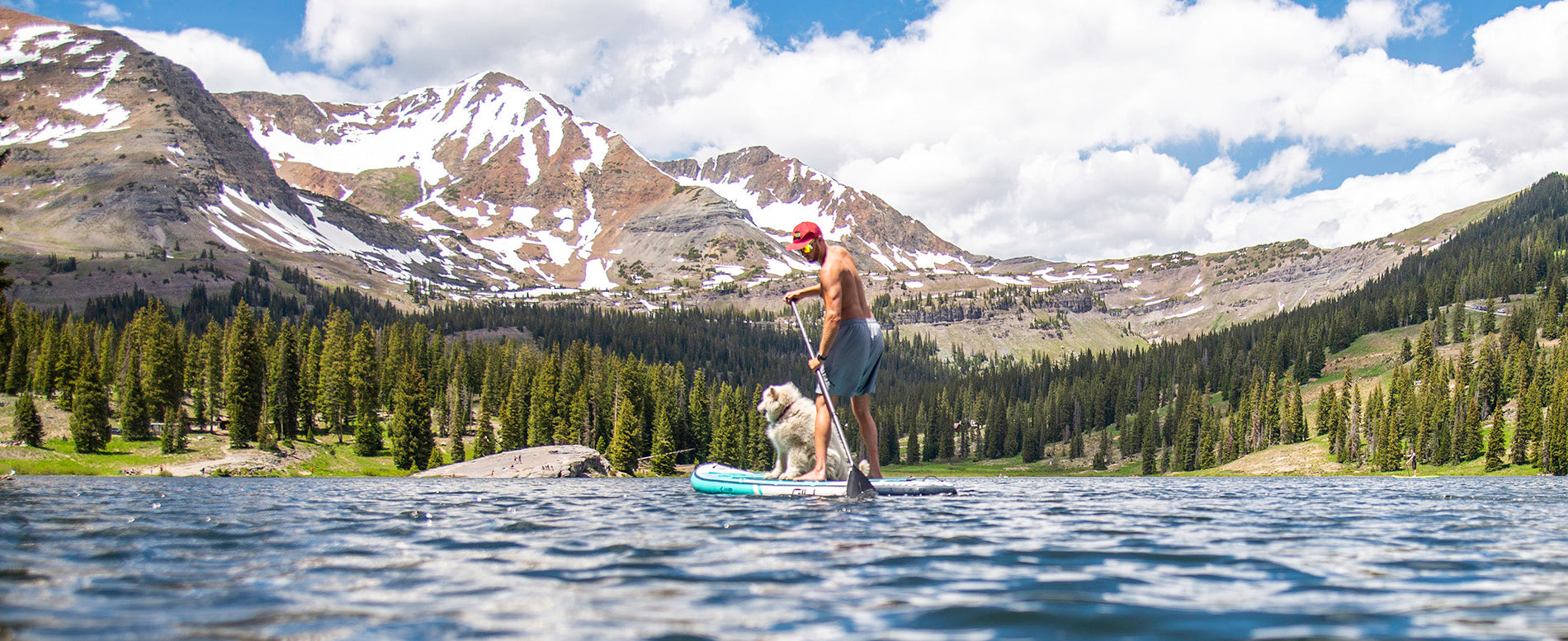 The Best Paddle Boards for Dogs 2022