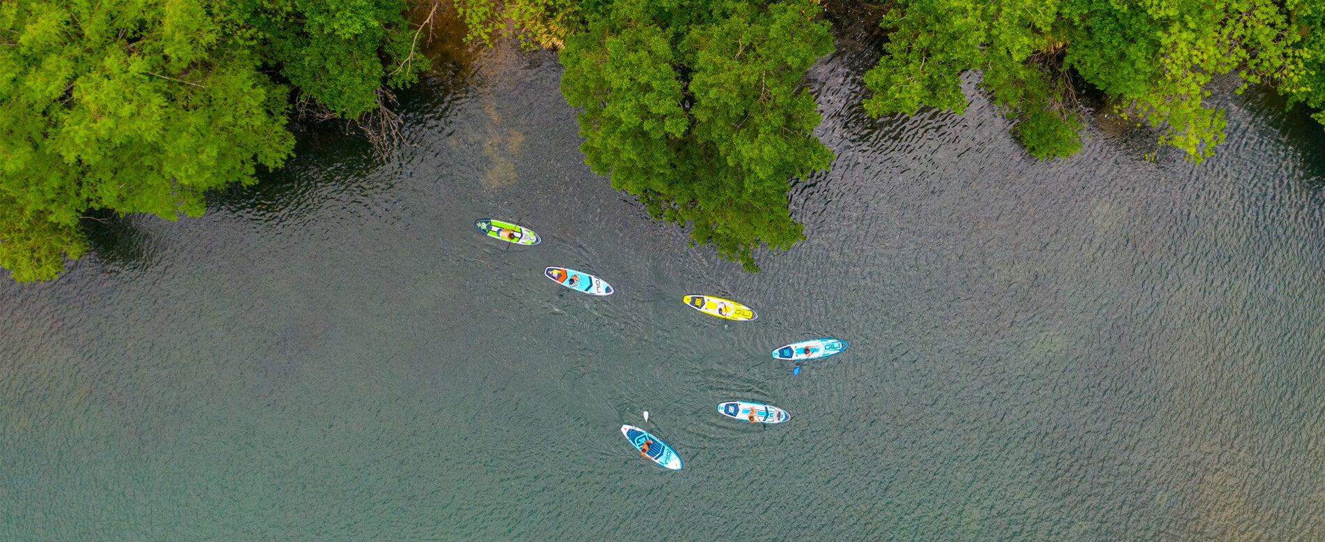 Paddle boarders on a river