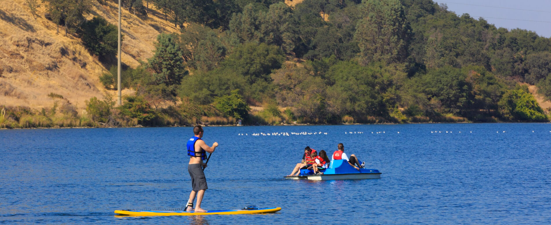 Man paddle boarding in the lake
